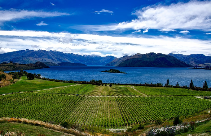 Nueva Zelanda propone establecer un precio al carbono en el sector agropecuario a partir de 2025