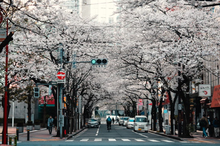 Tokio continúa reduciendo emisiones gracias a su Sistema de Comercio de Emisiones