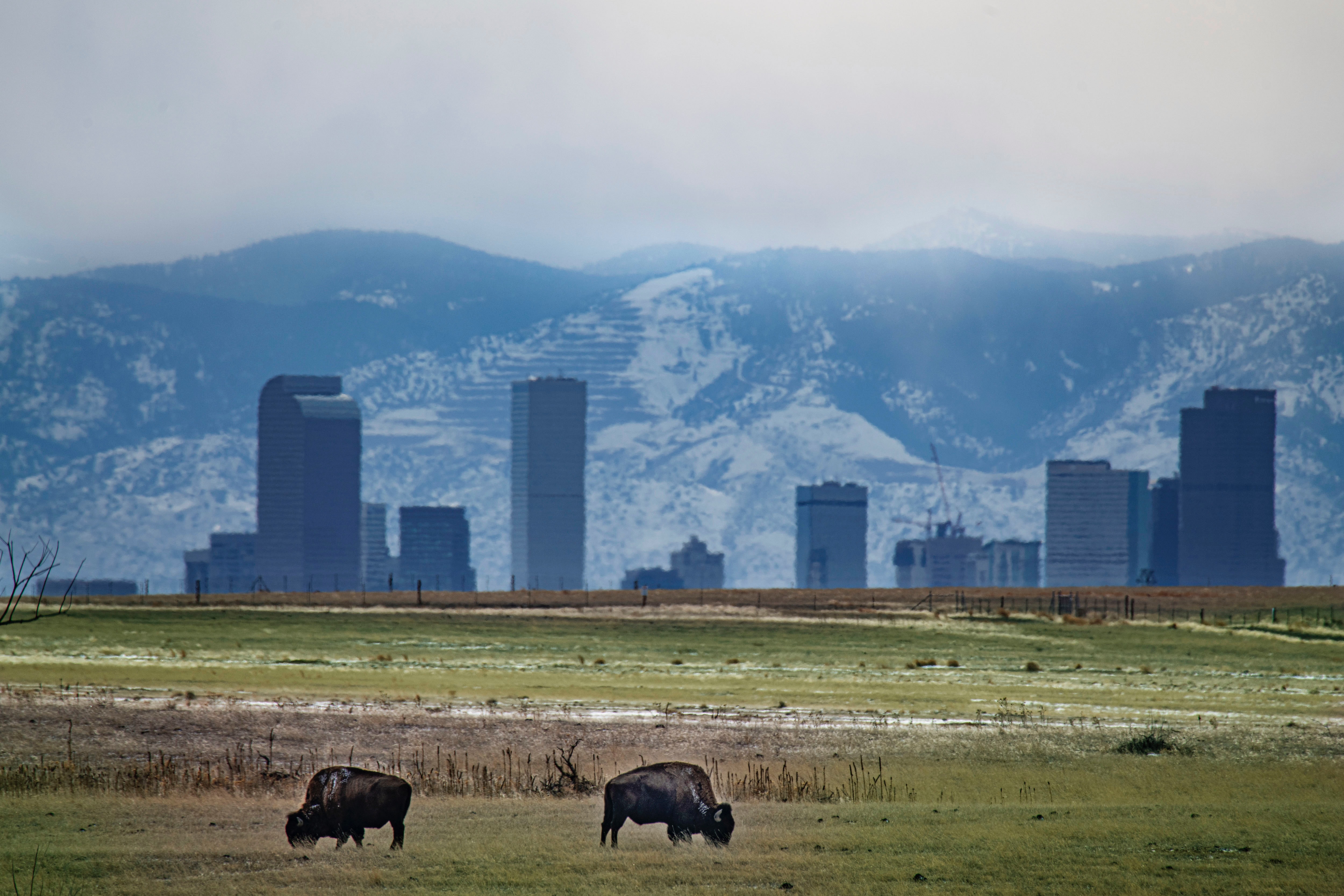 Colorado aprueba ley para reducir un 20% la contaminación industrial