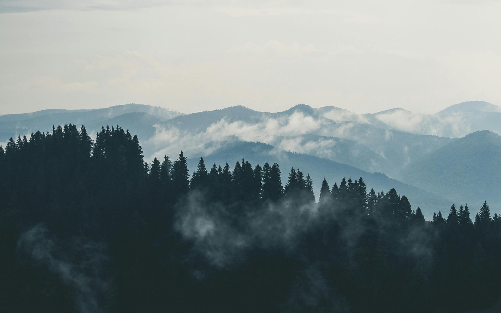 Lanzan innovadora póliza para financiar proyectos de créditos de carbono