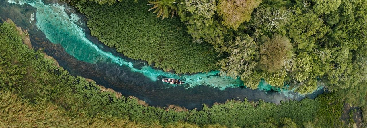 Mercado de carbono en Brasil: paso crucial para la lucha contra el cambio climático 