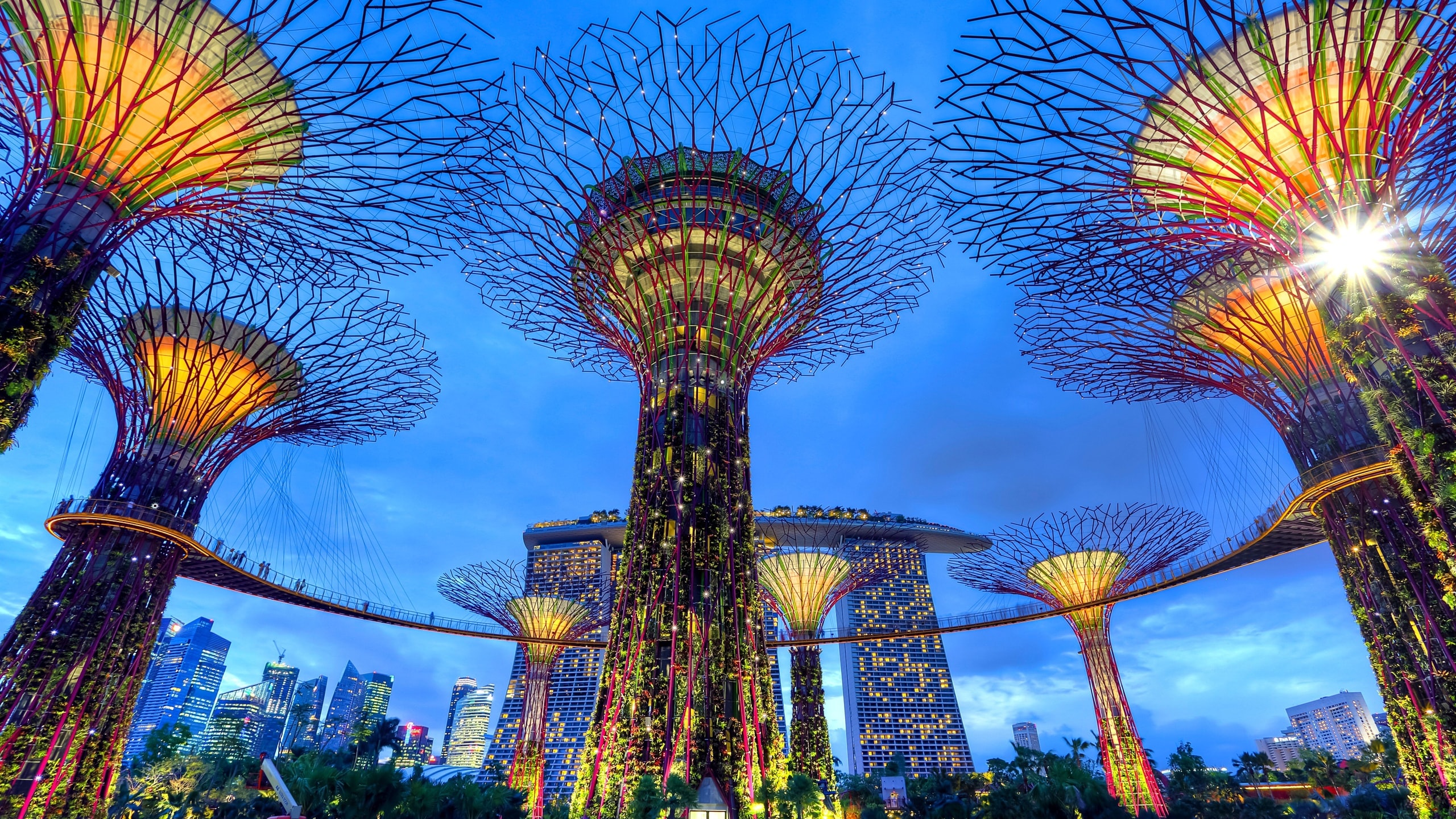 Singapur elimina impuesto por la emisión, transferencia y venta de créditos de carbono