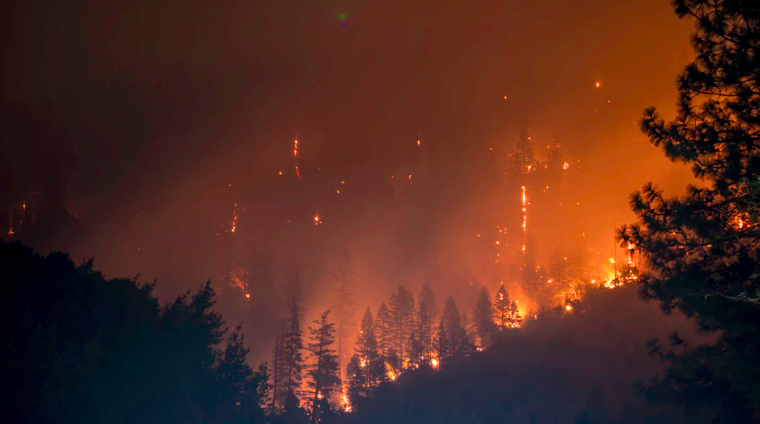 Los incendios forestales impactan en el mercado de reducciones de emisiones de California